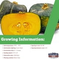 thumbnail image 2 of Harris Seeds - Treated Squash Bonbon Seeds F1 Winter Butter Cup Variety - 1 Lb., 2 of 7
