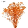 thumbnail image 3 of Uxcell Dried Baby's Breath Flowers 17 Inch Gypsophila Orange Natural Baby's Breath Branches for Wedding Party Home Decoration 3 Pcs, 3 of 6