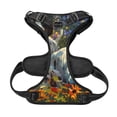 thumbnail image 5 of Lsque Sunflower Field Spotted Dog Dog Harness, No-Pull Pet Harness with 2 Leash Clips, Adjustable Soft Padded Dog Vest with Easy Control Handle for Large Dogs-X-Large, 5 of 9