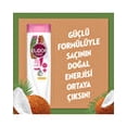thumbnail image 3 of Elidor Shampoo Coconut Oil 400 ml, 3 of 7