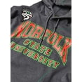 AACA Norfolk State University Men's Charcoal HBCU Pullover Hoodie with ...