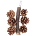 thumbnail image 4 of NIAIZEK Natural Pine Cone Foraging Toy for Parakeets, 1 Pack - Chewing & Enrichment Pet Bird Accessory, 4 of 8