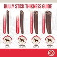 thumbnail image 6 of Best Dog Chews - Premium Thin Bully Sticks - 6 inch (12 Count,7-15g) - Natural Protein-Rich Dog Chews - Keep Your Dog Busy - Fully Digestible - Great for Dental Health - All Breed Sizes and Puppies, 6 of 8
