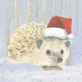 thumbnail image 3 of Adams, Emily 12x12 Black Modern Framed Museum Art Print Titled - Christmas Critters Bright IX, 3 of 5