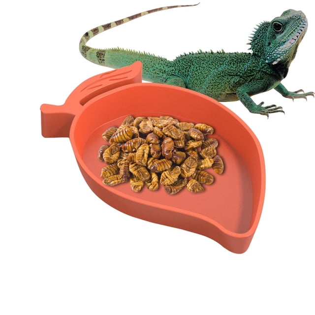 Plato de alimentación de reptiles con rampa y plataforma para tomar el sol para reptiles como mascot
