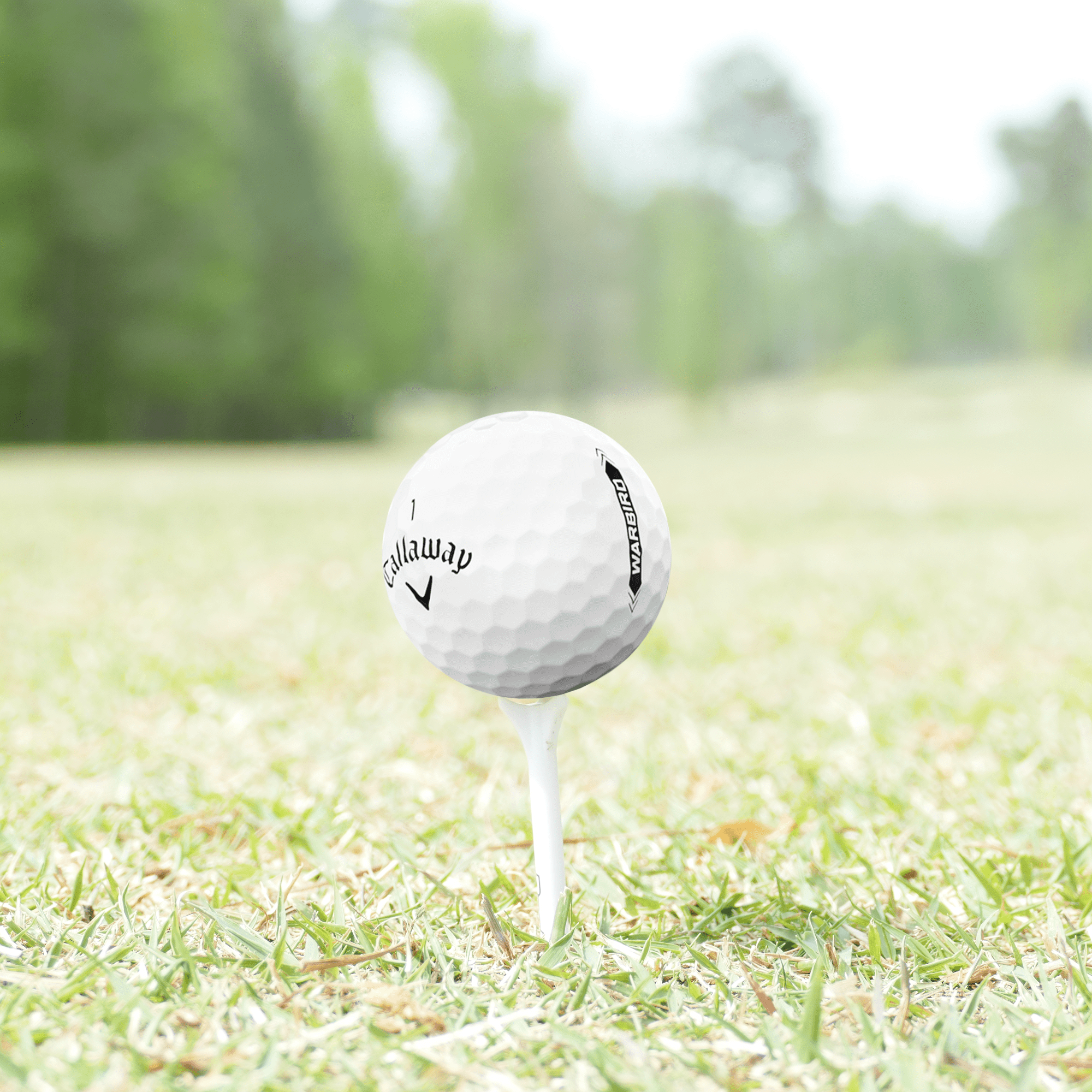 Golf Ball Nut – Recycled Golf Balls for Callaway Mix - 4A Near Mint Quality – 24-Pack, White
