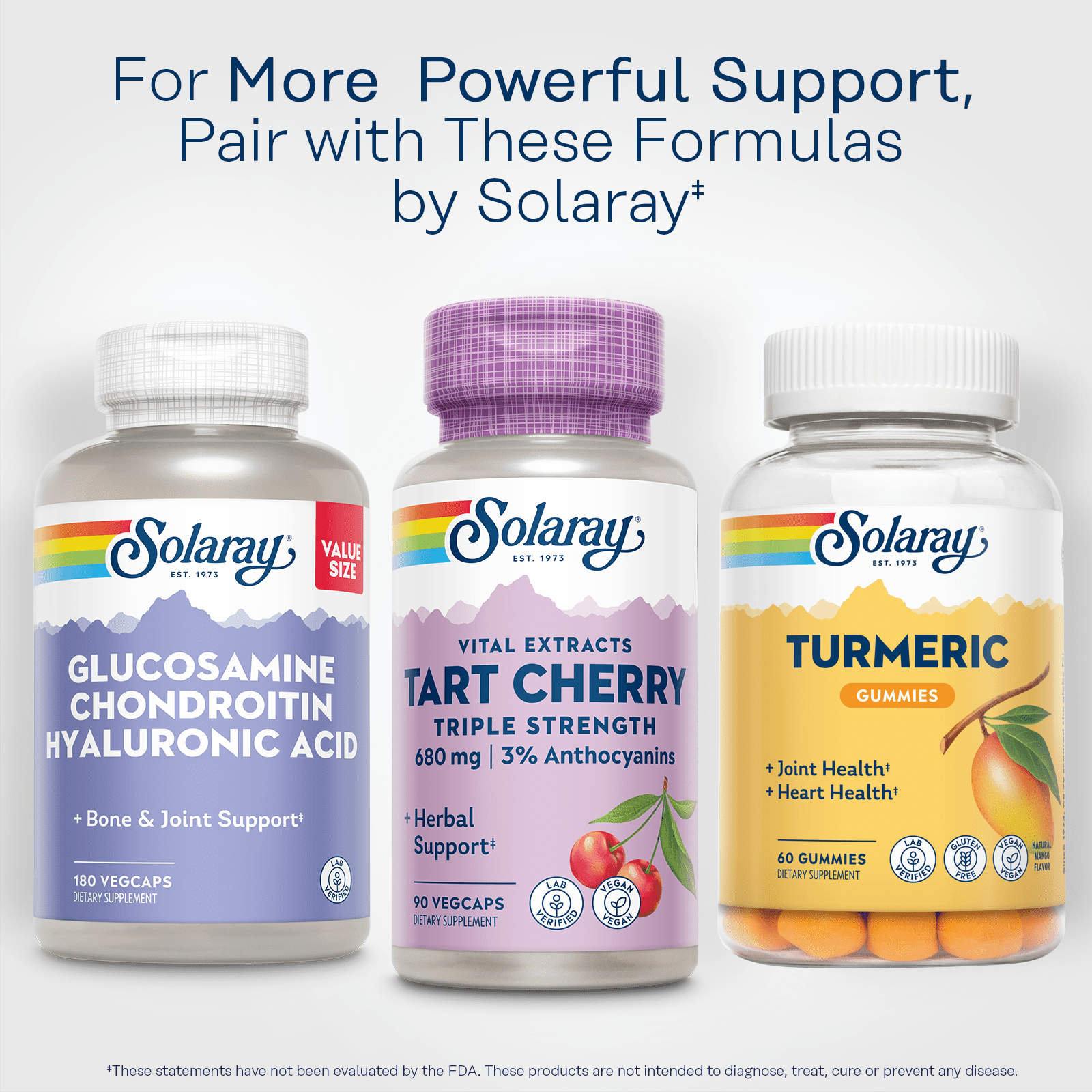 Solaray  Triple Strength Tart Cherry Fruit Extract | Helps Support Healthy Uric Acid Levels w/ Antioxidants & Anthocyanins | Non-GMO & Vegan | 90ct