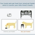 thumbnail image 5 of pawhut elevated double stainless steel bowl dog feeder, 5 of 9