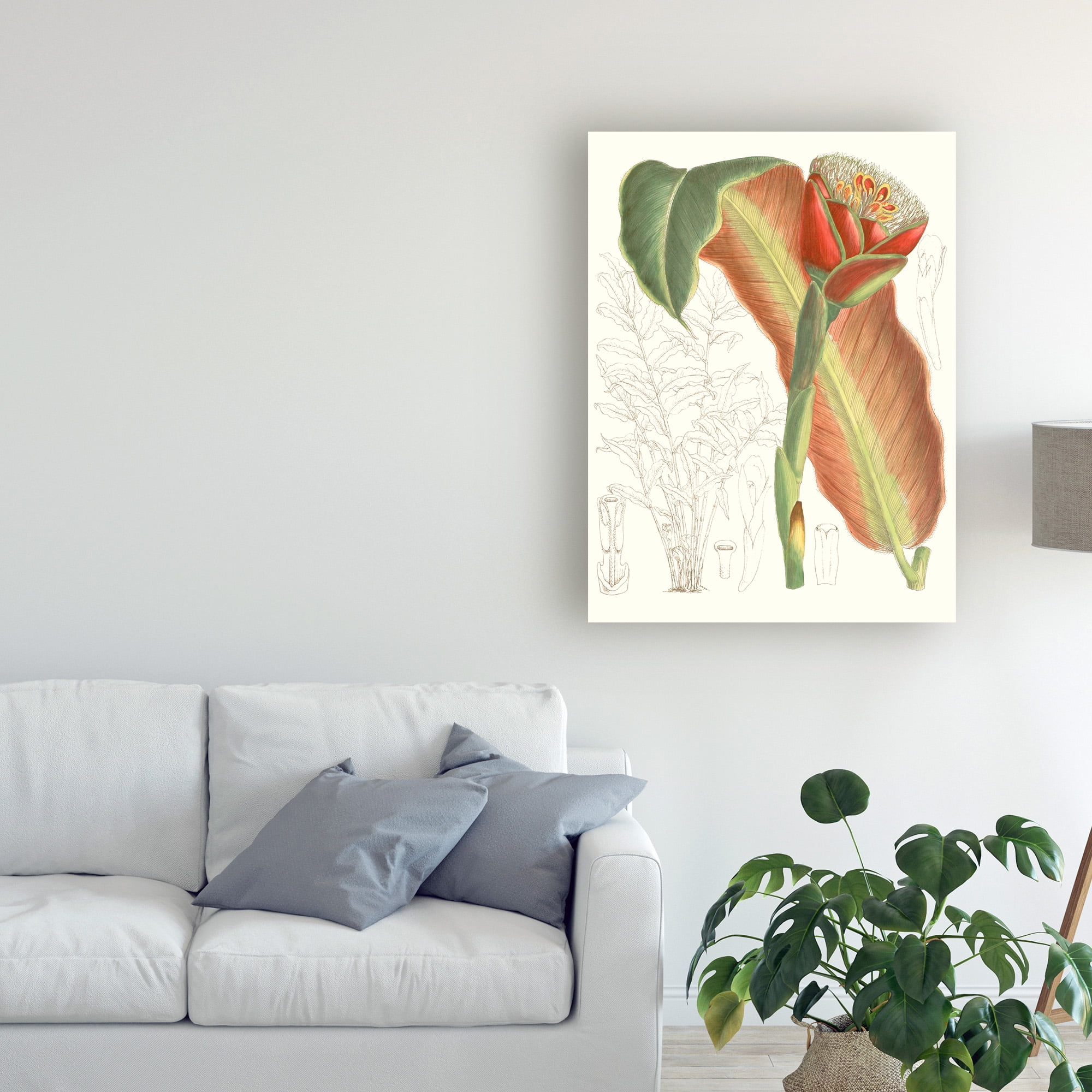 Trademark Fine Art 'Tropical Variety VII' Canvas Art by Curtis