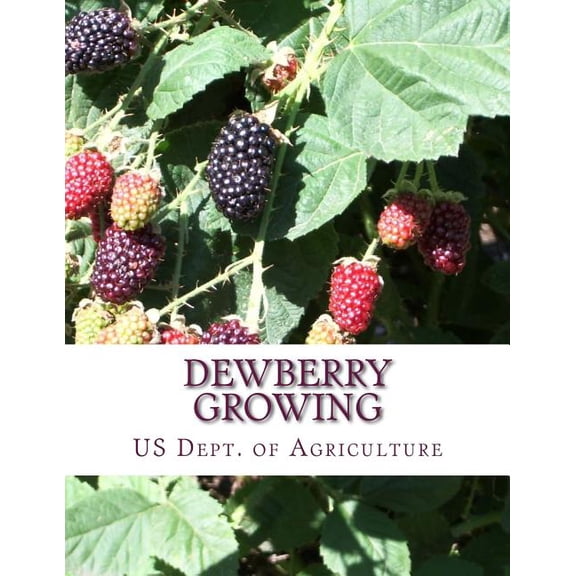 Dewberry Growing: Farmers' Bulletin 1403