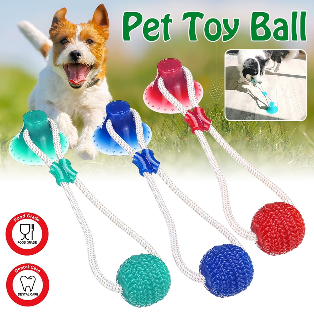 suction cup dog toy ball