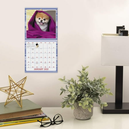 2021 Boo The World S Cutest Dog Mini Wall Calendar 7 X 7 Monthly Ddmn7128 Walmart Canada boo the dog calendar 2021