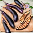 thumbnail image 4 of Bonnie Plants Ichiban Eggplant 19.3 oz. 2-Pack, 4 of 10
