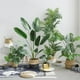 thumbnail image 1 of Plantas verdes simuladas, luces de interior, pisos de lujo, turismo, plantas de banano, plantas en macetas, decoración de sala de estar, flores y árboles falsos, 1 of 5