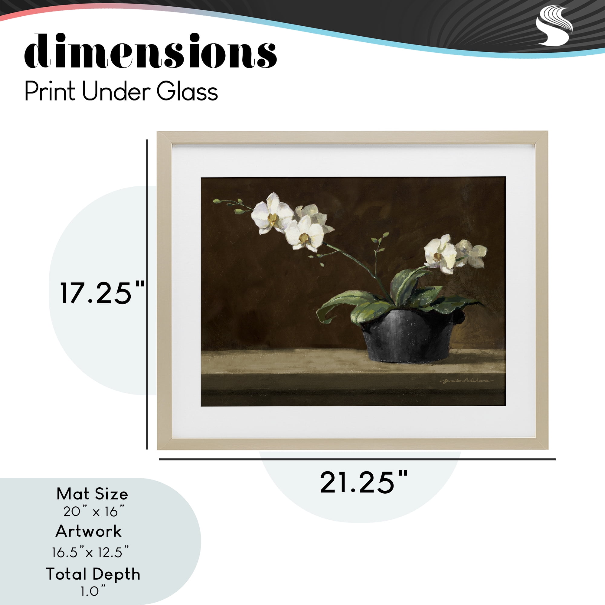 Stupell Industries Potted White Orchid on Ledge Birch Framed Print Under Glass, design by Yumiko Ichikawa