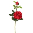 thumbnail image 1 of Vickerman FA174101 Rose Britannique X2 Tige Florale Rouge, 1 of 1