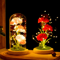thumbnail image 4 of FTCBJJA Preserved Artificial Carnation in Glass Dome with LED String Light, Glass Rose Artificial Flowers with Eternal Carnation, Mother’s Day Carnation Flowers Gifts for Mom&Women,Red, 4 of 6