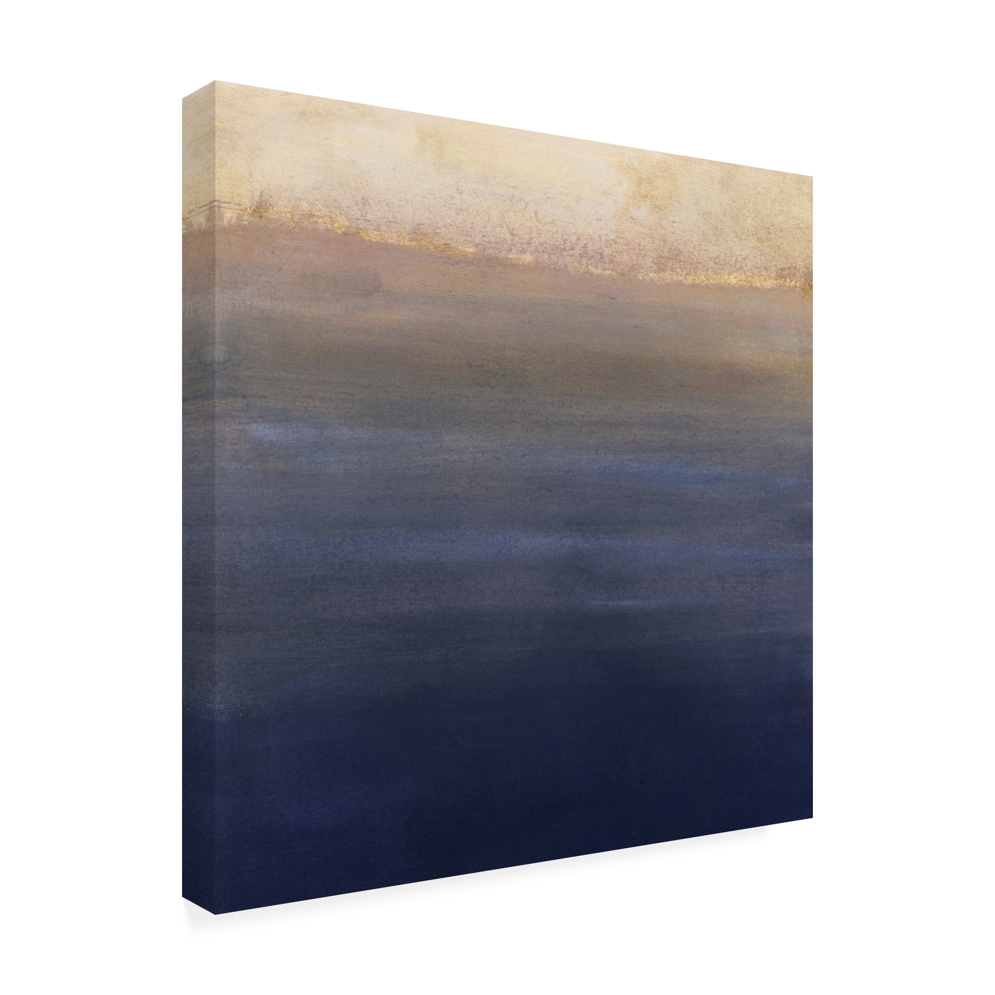 Trademark Fine Art 'Indigo Sundown II' Canvas Art by Victoria Borges