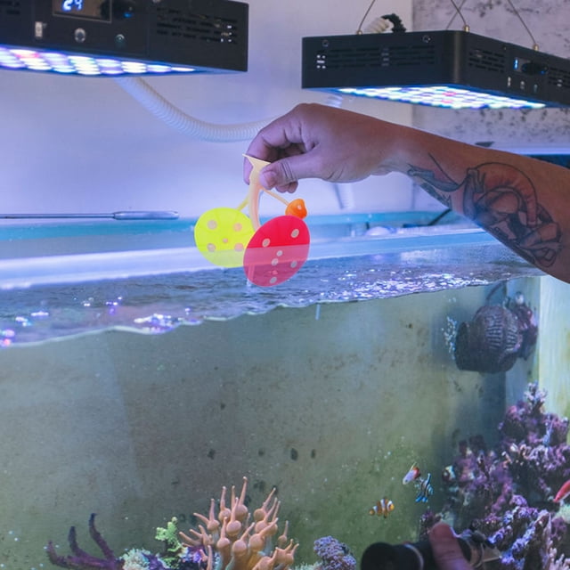 OHOIOLLA 2Ud Hoja De Silicona Con Ventosa Para Peces Betta En Acuario