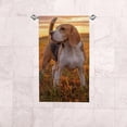thumbnail image 6 of Absorbent Soft Hand Fingertip Towels, 2 Pcs Face Bath Towels Set Portrait of A Beagle Dog Washcloths for Bathroom Hotel Kitchen, 30"x15", 6 of 6