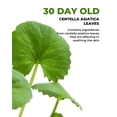 thumbnail image 3 of ELEVEN EVER 1 caja (60 uds) discos de almohadilla de papel de lija de repuesto (grano 80 y grano 100) para máquina removedora de callos de Lima eléctrica para pies, 3 of 5