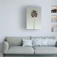 thumbnail image 3 of Pictufy Studio III 'Palm 1' Canvas Art - 16 x 24 Inches, 3 of 4
