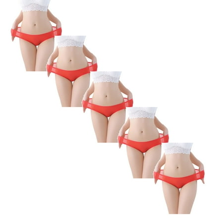 

Womens Underwear Brief Low Waist Sheer Mesh Cute Seamless Panties5PC