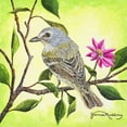 thumbnail image 3 of Redding, James 15x15 Black Modern Framed Museum Art Print Titled - Tropical Bird, 3 of 5