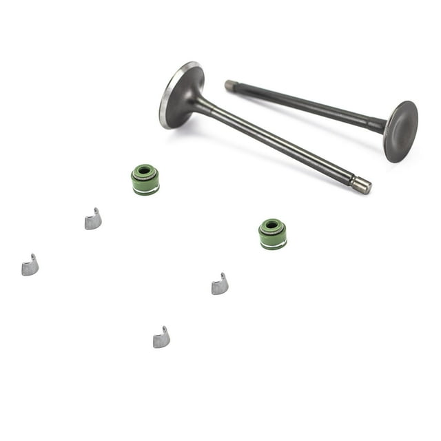 Juego valvulas admisión/escape DM200/RC200/TX200 plateado