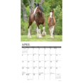 thumbnail image 3 of Willow Creek Press, Clydesdales Horses 2025 Wall Calendar, 3 of 4