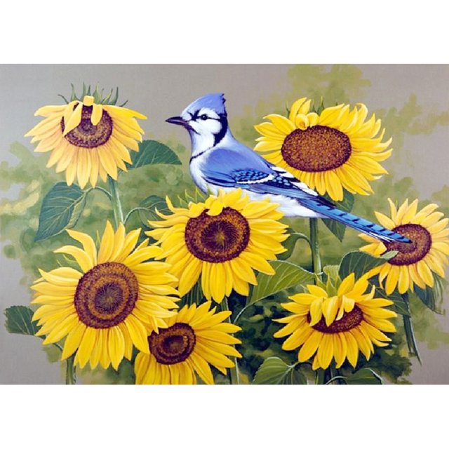 Kits de pintura de diamantes (DB3349) Pájaro en girasol Imagen cuadrada Artesanía 50x70cm Hugtrwg Para estrenar