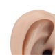 thumbnail image 3 of Silicone Piercing Practice Model Simulation Soft Flexible Ears Model for Display Teaching Dark Skin Color Right, 3 of 4