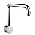 thumbnail image 1 of Hansgrohe 6476000 Raindance Brass Swivel Showerarm in Chrome, 1 of 1