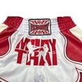 thumbnail image 5 of Fluory Cortex Muay Thai Embroidered Shorts Leather Cool Training Fitness Gymwear for Men, 5 of 6