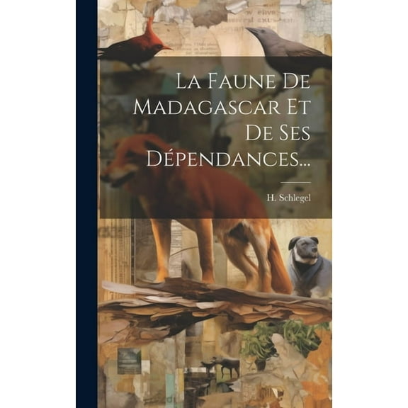 La Faune De Madagascar Et De Ses Dépendances... (Hardcover)