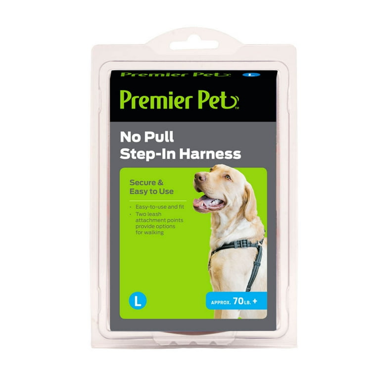 Harness for top 4 pound dog