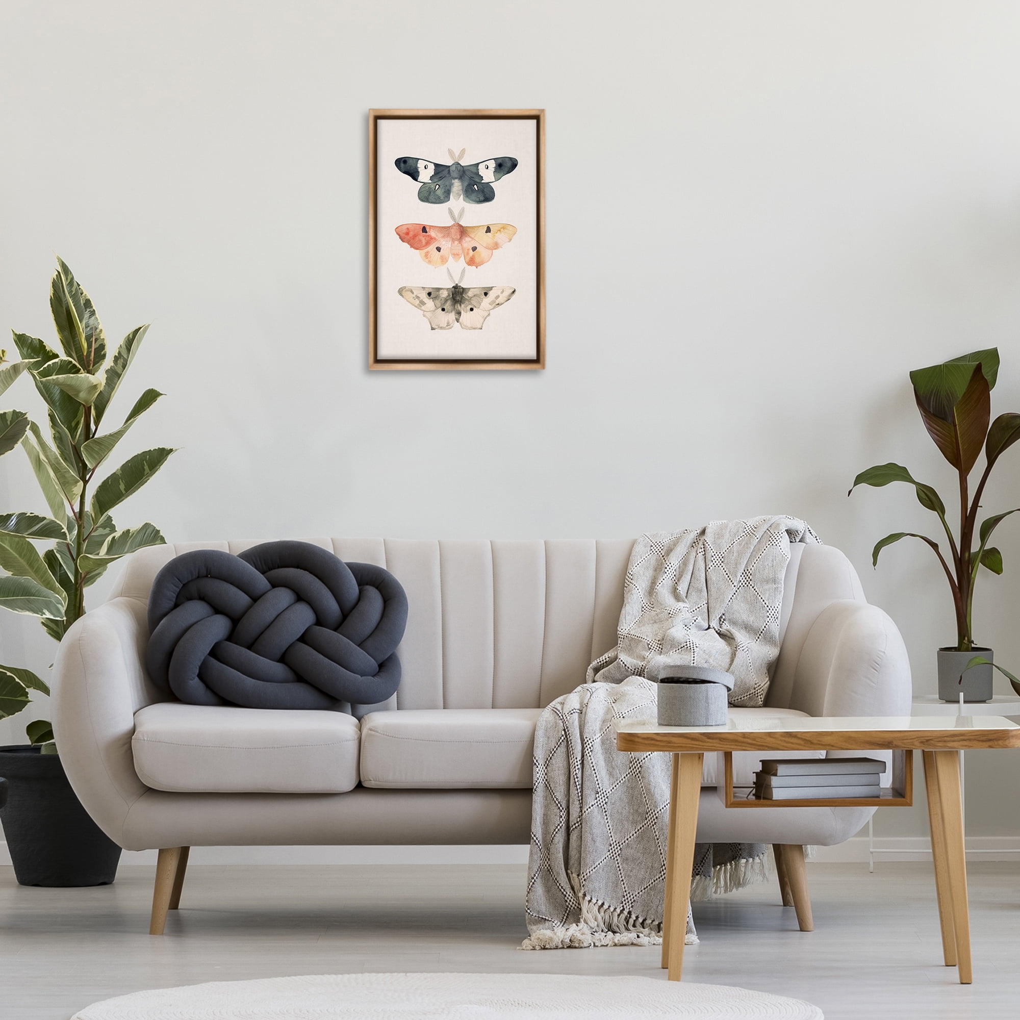 Stupell Industries Watercolor Moth Trio Animals Painting Brown Floater Framed Canvas Art Print Wall Art, 17 x 25