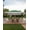 Dark Army Green + Heather Gray, variant on 12x12 Pop Up Ga-zebo Outdoor Canopy Shelter with 4 Stanbags, 8 Stakes Instant Gazebo Tent for Lawn, Garden, Backyard Deck