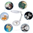thumbnail image 4 of Large Desktop Magnifier,2X 6X Folding and Manual Table,Portable LED Lighted Magnifier Lamp with Stand, 4 of 5
