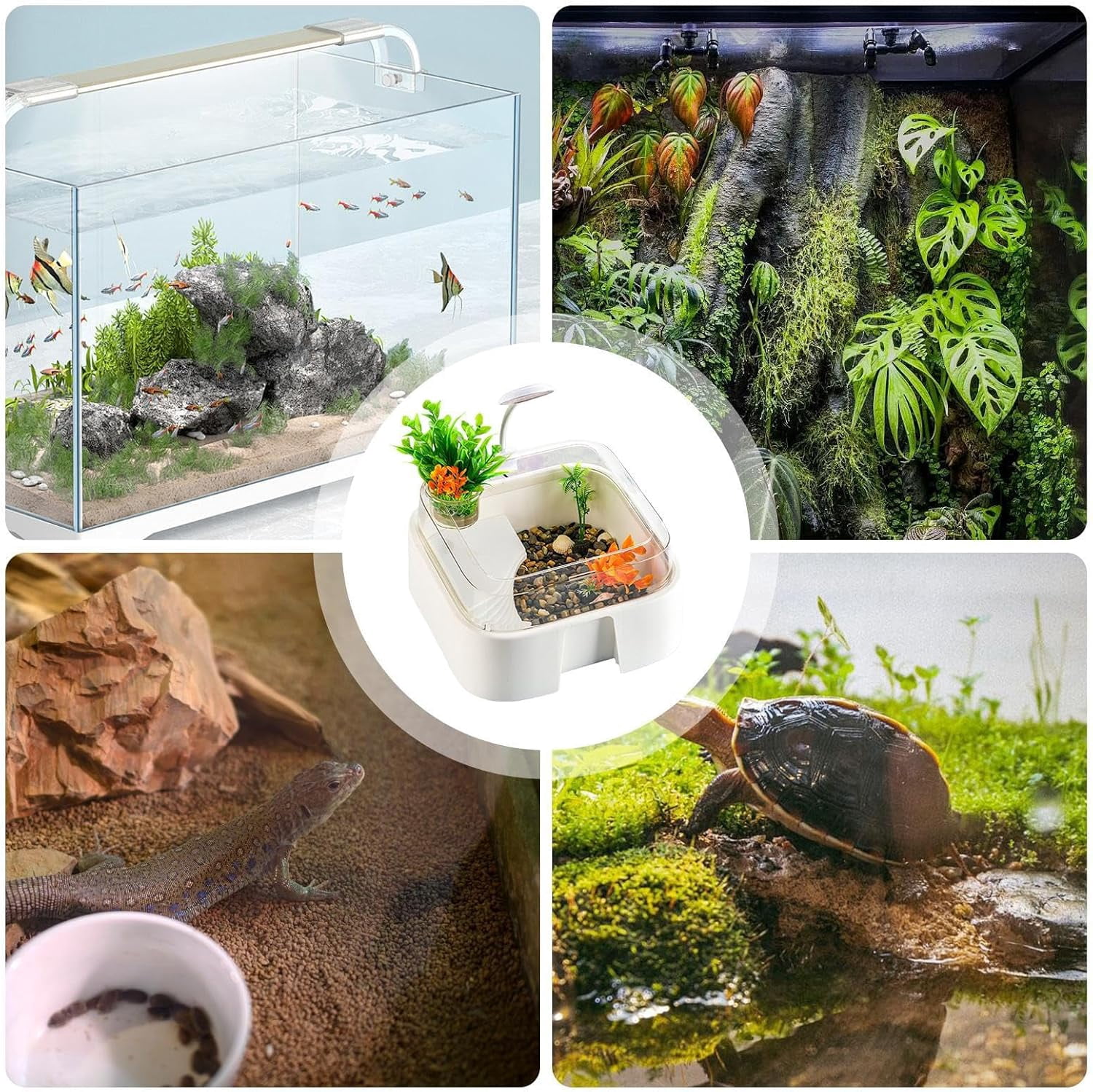 Tortoise Tank Set with Lighting, Artificial Plants, Stones, Raised Curved Design for Indoor
