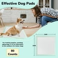 thumbnail image 7 of Cowb Manm Puppy Pads 80-Count  XL Disposable Dog Training Pee Pads 24x24 inch Heavy Absorbency, 7 of 7