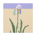 thumbnail image 1 of Antoinette Leveque - Canvas, 1 of 10