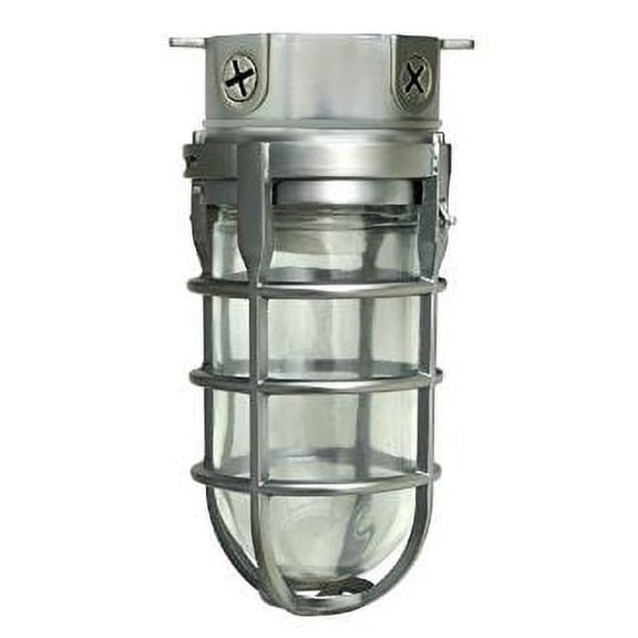 Woods L1706BS Traditional 100W Incandescent Weather Industrial Light - Brushed Steel