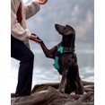 thumbnail image 4 of HAHDAXIA Anti Pull Dog Harness for Large Dogs, Reflective Soft Padded Dog Harnesses, Adjustable, Breathable Chest Harness with Safe Easy Control Handle, Black, L, 4 of 6