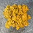 thumbnail image 2 of Fake Moss Preserved Reindeer Moss for Potted Plants, Arts and Crafts, Terrariums, Wall Decor, Centerpieces, Fairy Gardens, Wedding, Floral Project, 2 of 2