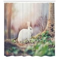 thumbnail image 3 of Ambesonne Easter Bunny Shower Curtain, Spring Rabbit Forest, 69"Wx84"L, Multicolor, 3 of 3