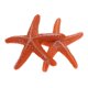 thumbnail image 1 of 2 Piezas De Plantas De Acuario De Acuario Artificial Plantas De Acuático Ornamento De Fondo Tipo 5 - Naranja Zulema Decoración del tanque de peces de acuario, 1 of 7