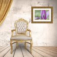 thumbnail image 3 of Paulson, Don 24x17 Gold Ornate Wood Framed with Double Matting Museum Art Print Titled - USA, Washington Close-up of magnolia blossom, 3 of 4