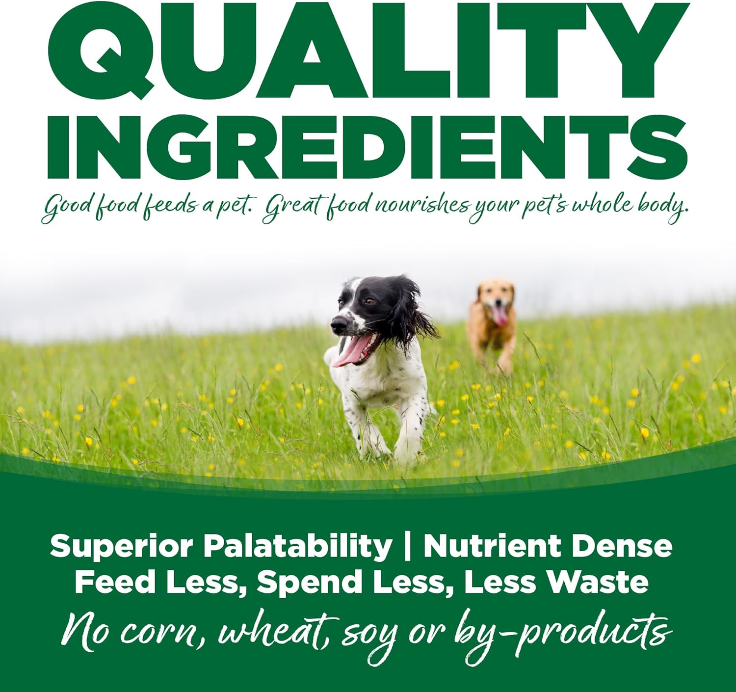NutriSource with Wholesome Grain Turkey & Rice Recipe Dog Food 12 lb