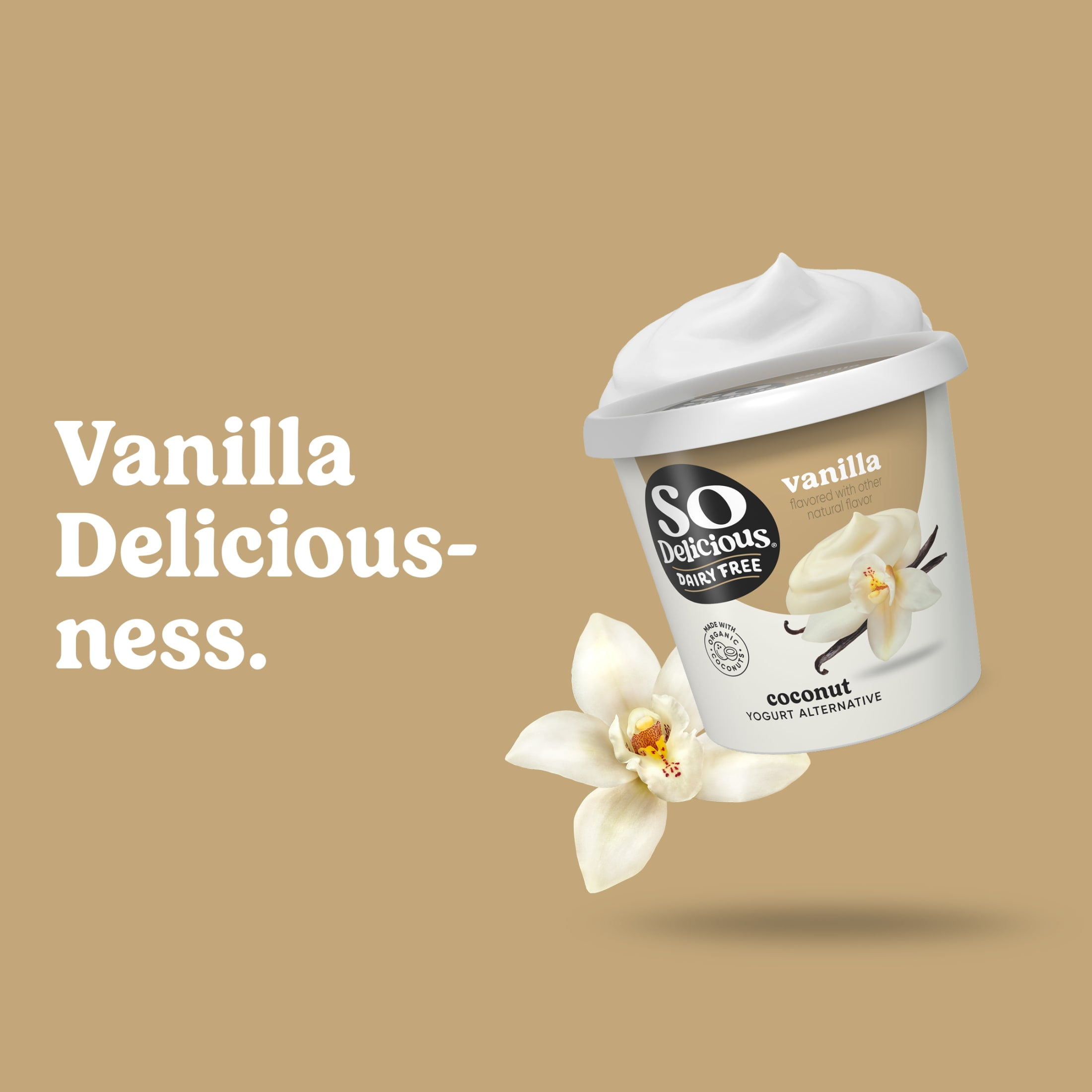 So Delicious Vegan, Dairy Free Vanilla Coconut Yogurt Alternative, 24 oz Container